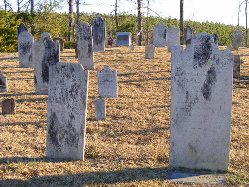 DSCF2424.jpg